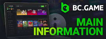 All You Need to Know About BC.Game Support