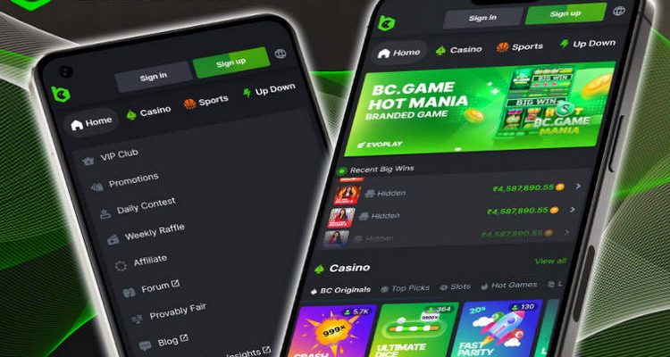 Uncover the Excitement of BC.Game Casino