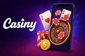 Unlock Exclusive Benefits with the Casiny VIP Program 28